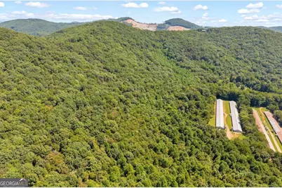 0 Hwy 115, Cleveland, GA 30528 - Photo 14