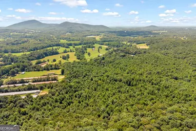 0 Hwy 115, Cleveland, GA 30528 - Photo 8