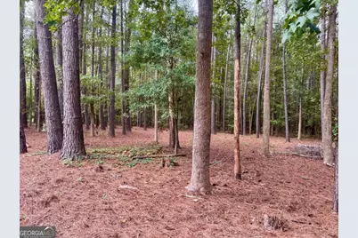 271 Thomas Circle, Springfield, GA 31329 - Photo 16