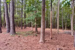 271 Thomas Cir, Springfield, GA 31329 - Photo 16