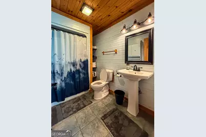 448 Dixie Meadow Lane, Mount Airy, GA 30563 - Photo 50