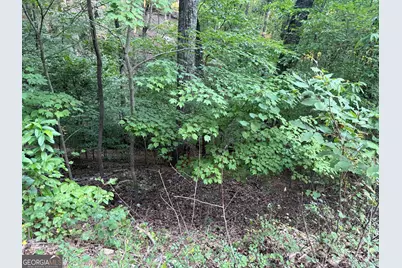 2329 Ford White Road, Gainesville, GA 30506 - Photo 2