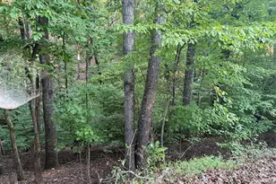 2329 Ford White Rd, Gainesville, GA 30506 - Photo 1