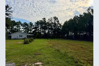 652 L A Peterson Road, Rhine, GA 31077 - Photo 68