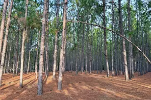 652 L a Peterson Rd, Rhine, GA 31077 - Photo 24