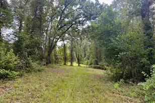 652 L a Peterson Rd, Rhine, GA 31077 - Photo 26