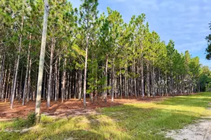 652 L a Peterson Rd, Rhine, GA 31077 - Photo 20