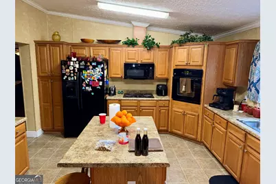652 L A Peterson Road, Rhine, GA 31077 - Photo 36