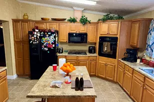 652 L a Peterson Rd, Rhine, GA 31077 - Photo 36