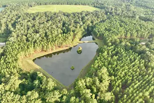 652 L a Peterson Rd, Rhine, GA 31077 - Photo 18