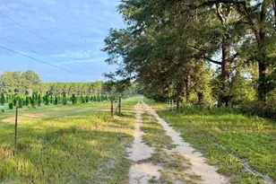 652 L a Peterson Rd, Rhine, GA 31077 - Photo 6