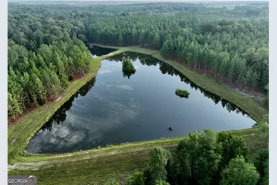 652 L A Peterson Road, Rhine, GA 31077 - Photo 2
