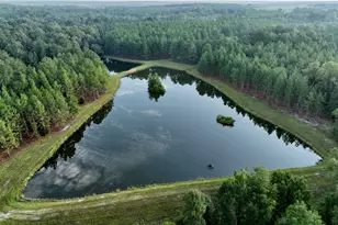 652 L a Peterson Rd, Rhine, GA 31077 - Photo 2