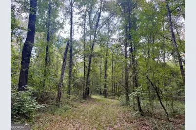 652 L A Peterson Road, Rhine, GA 31077 - Photo 28