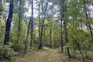 652 L a Peterson Rd, Rhine, GA 31077 - Photo 28