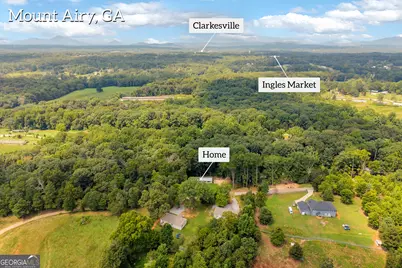 515 Donald Cleveland Road, Mount Airy, GA 30563 - Photo 62