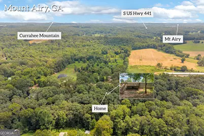 515 Donald Cleveland Road, Mount Airy, GA 30563 - Photo 56