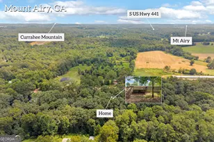 515 Donald Cleveland Rd, Mount Airy, GA 30563 - Photo 56
