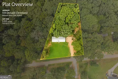 515 Donald Cleveland Road, Mount Airy, GA 30563 - Photo 66