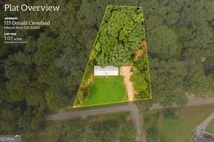515 Donald Cleveland Rd, Mount Airy, GA 30563 - Photo 66
