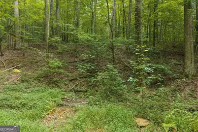 300 Sumac Lane #53, Ellijay, GA 30540 - Photo 6
