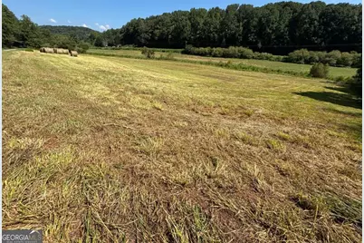 13 Ac Aruthur Anderson Road, Dahlonega, GA 30533 - Photo 8