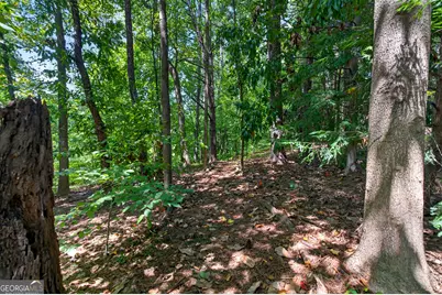 919 Walker Avenue, Atlanta, GA 30316 - Photo 66