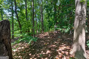 919 Walker Ave, Atlanta, GA 30316 - Photo 66