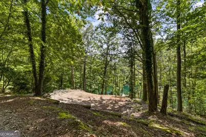 Lt 44&amp;45 Overlook Drive, Cherrylog, GA 30522 - Photo 8
