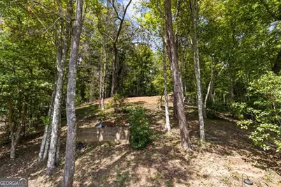 Lt 44&amp;45 Overlook Drive, Cherrylog, GA 30522 - Photo 18