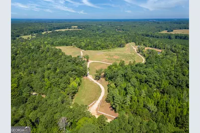 692 Hutchins Wolfskin Road, Stephens, GA 30667 - Photo 2