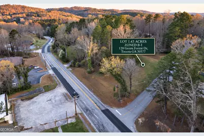 129 Green Forest Drive, Toccoa, GA 30577 - Photo 4
