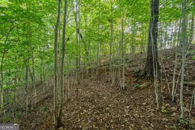 0 Grey Fox Trail B11, Clayton, GA 30525 - Photo 20