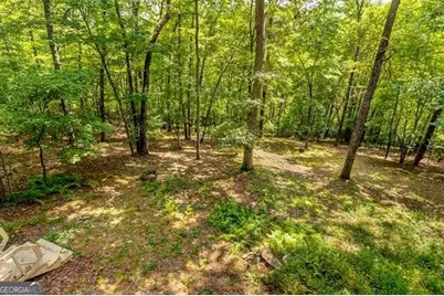717 Evergreen Lane #4, Mineral Bluff, GA 30559 - Photo 62