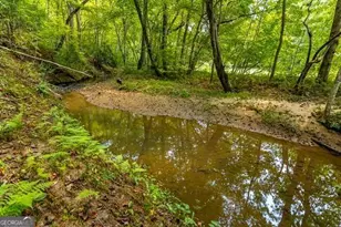 717 Evergreen Ln, Mineral Bluff, GA 30559 - Photo 8
