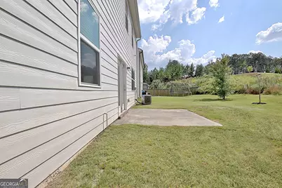 19 White Spruce Way, Newnan, GA 30265 - Photo 46