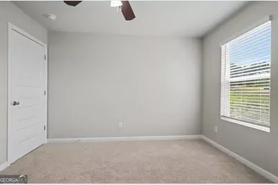 19 White Spruce Way, Newnan, GA 30265 - Photo 38