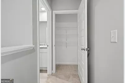 19 White Spruce Way, Newnan, GA 30265 - Photo 42