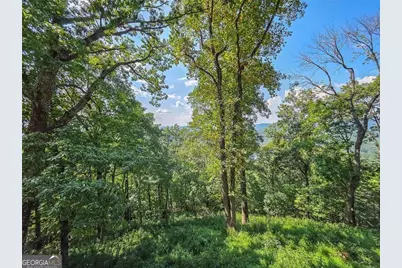 493 Starcross Lane, Jasper, GA 30143 - Photo 40