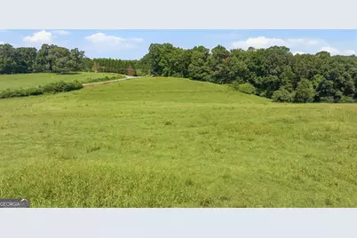 0 Double Bridge Connector #LOT 1, Demorest, GA 30535 - Photo 8