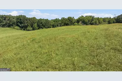 0 Double Bridge Connector #LOT 1, Demorest, GA 30535 - Photo 6