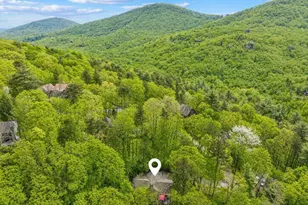 458 Tea Berry Ln, Big Canoe, GA 30143 - Photo 16