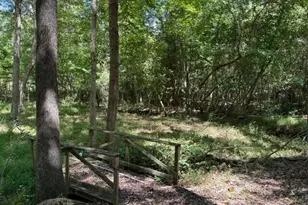 145 Log Cabin Rd, Milledgeville, GA 31061 - Photo 12