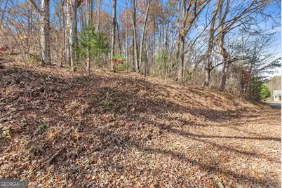 Lot 50 &amp; 51 Meadow Crest Drive, Cleveland, GA 30528 - Photo 6