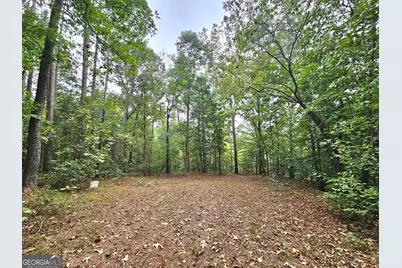 Lot 1 Gregg Shoals Drive, Elberton, GA 30635 - Photo 6