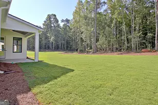 176 Ryeland Dr, Senoia, GA 30276 - Photo 78