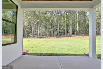 176 Ryeland Drive, Senoia, GA 30276 - Photo 20