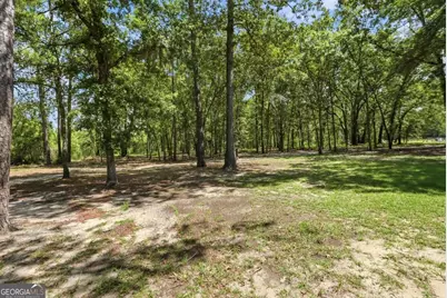 312 I.G. Lanier Road, Pembroke, GA 31321 - Photo 28