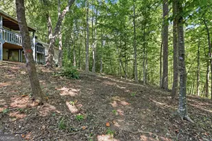 1 Pine Needle Trail, Martin, GA 30557 - Photo 28