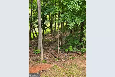 1 Pine Needle Trail, Martin, GA 30557 - Photo 42